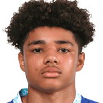 戈尔丁头像,戈尔丁图片